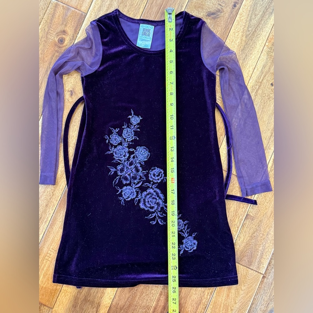 Brook Lindsey Velveteen Dress - Picture 7 of 8